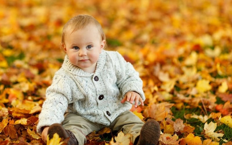 baby in leaves small